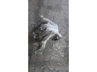 https://www.cikmaotoparcam.com/