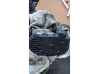 https://www.cikmaotoparcam.com/
