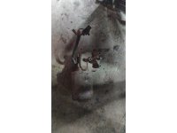 https://www.cikmaotoparcam.com/