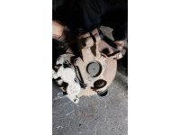 https://www.cikmaotoparcam.com/