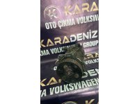 https://www.cikmaotoparcam.com/