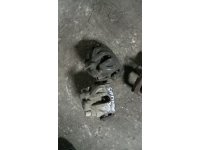 https://www.cikmaotoparcam.com/